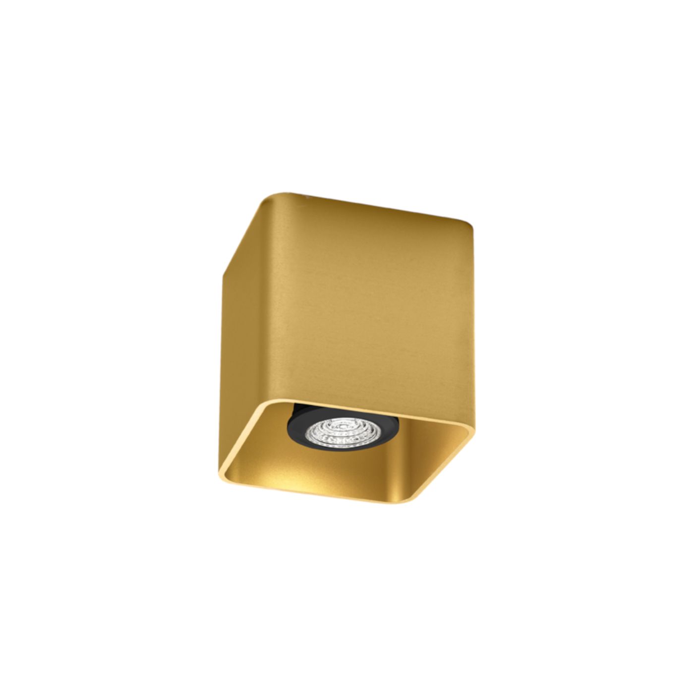 Docus 1.0  PAR16 plafondspot   