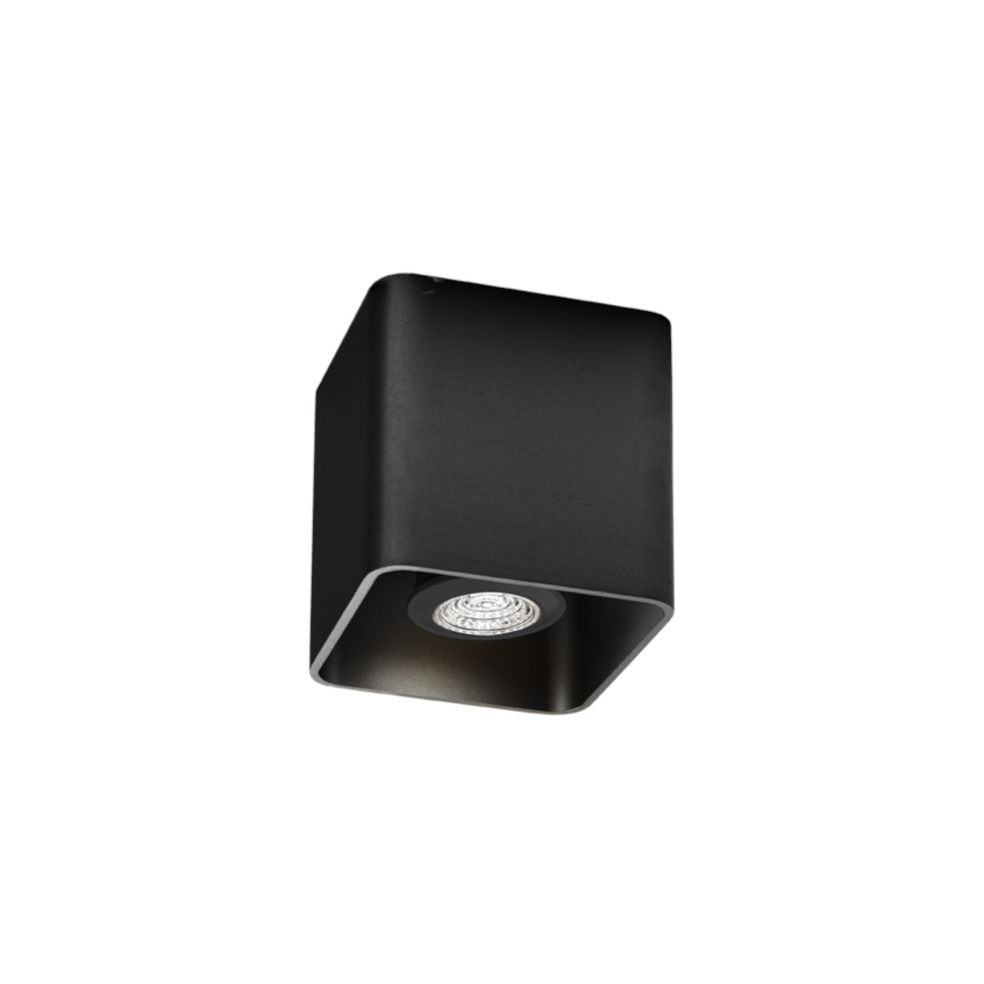 Docus 1.0  PAR16 plafondspot   