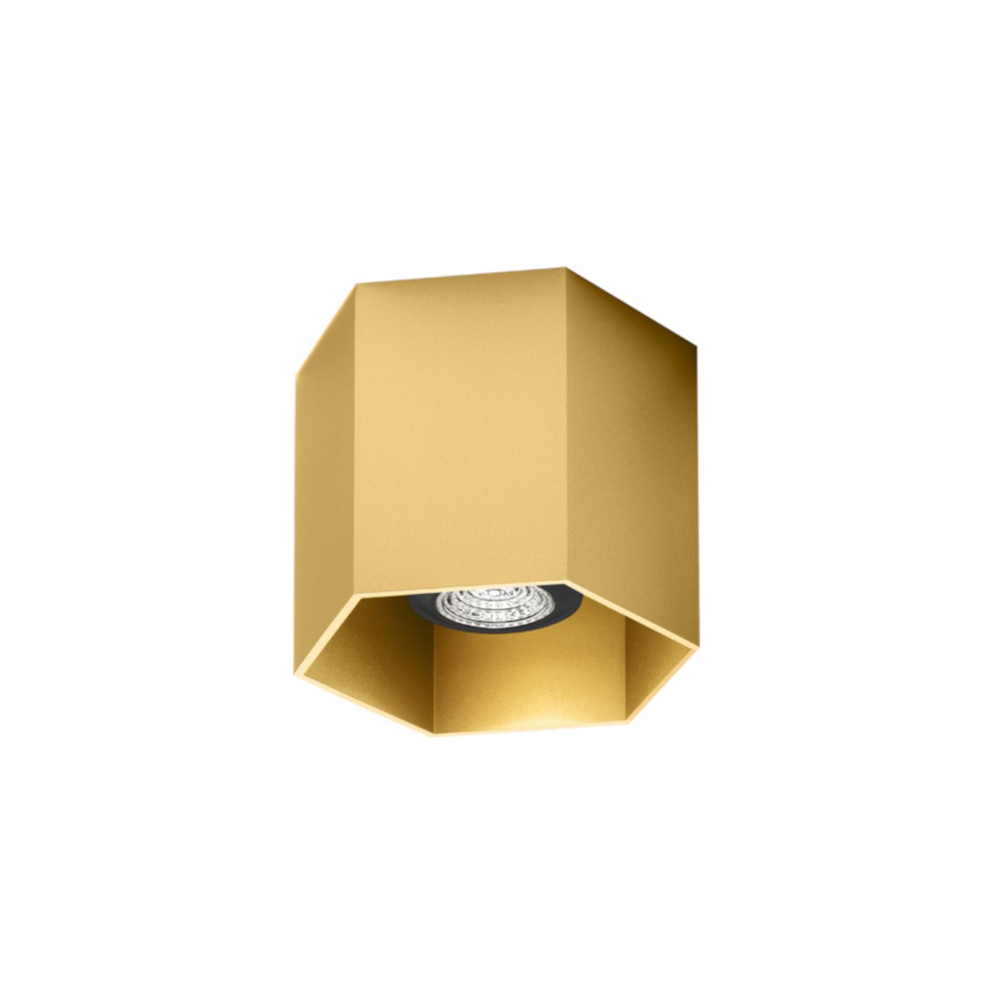 Hexo 1.0  PAR16 plafondspot 