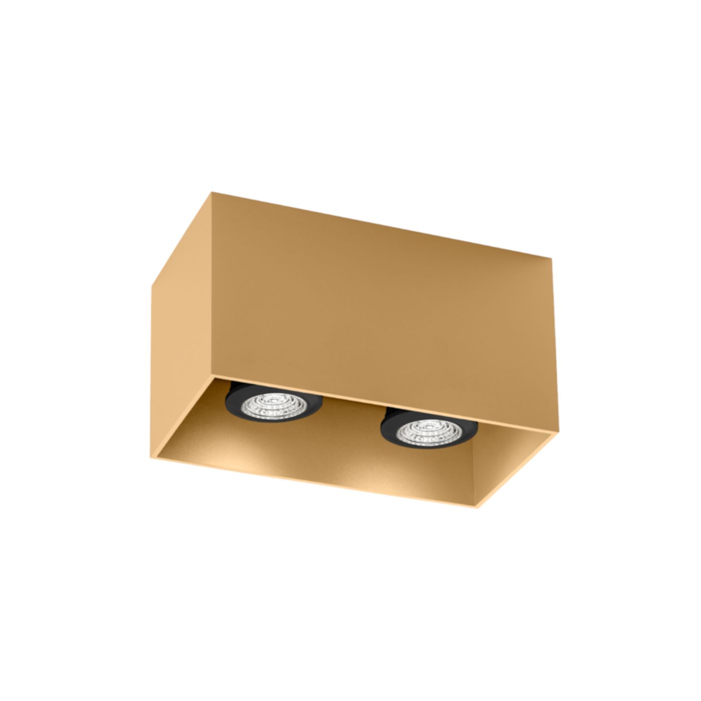 Box 2.0  PAR16 plafondspot  