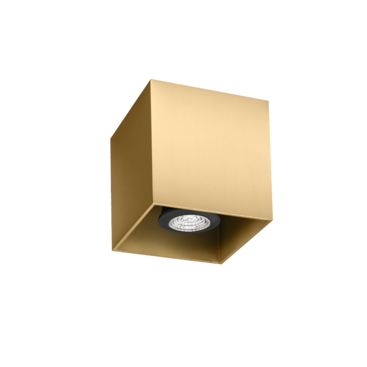 Box 1.0  PAR16 plafondspot  