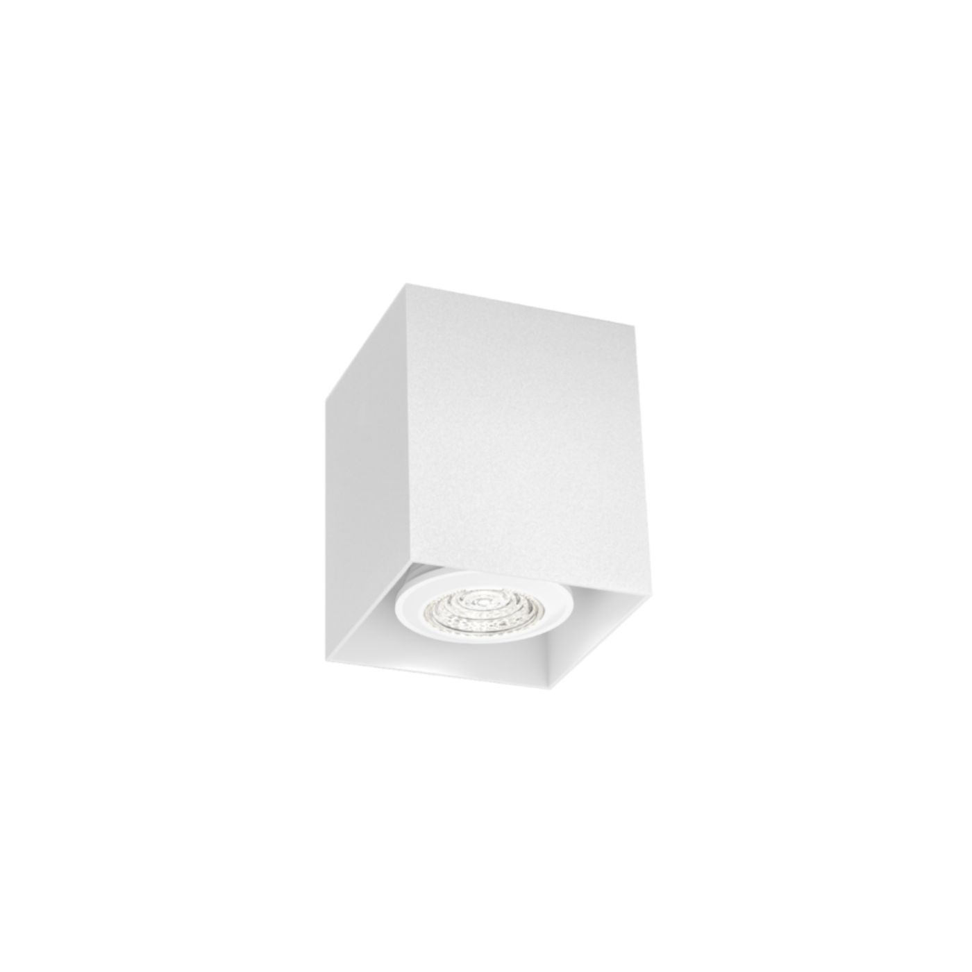 Box mini 1.0  PAR16 plafondspot 