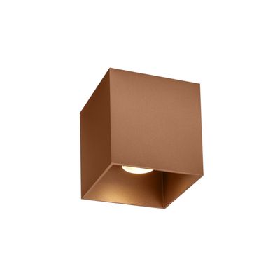 Box 1.0  PAR16 plafondspot  