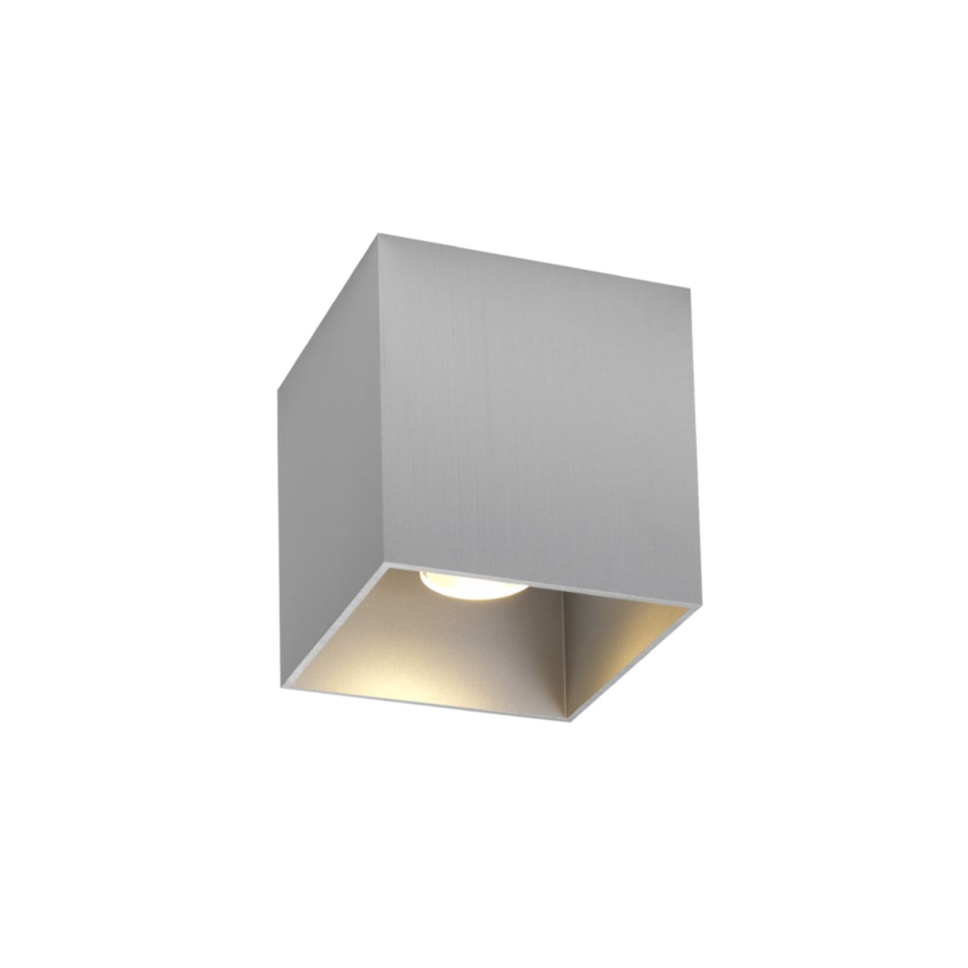Box 1.0  PAR16 plafondspot  