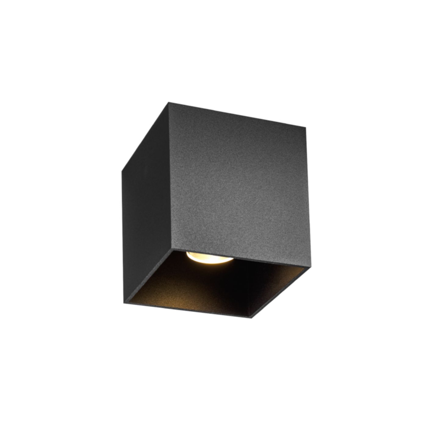 Box 1.0  PAR16 plafondspot  