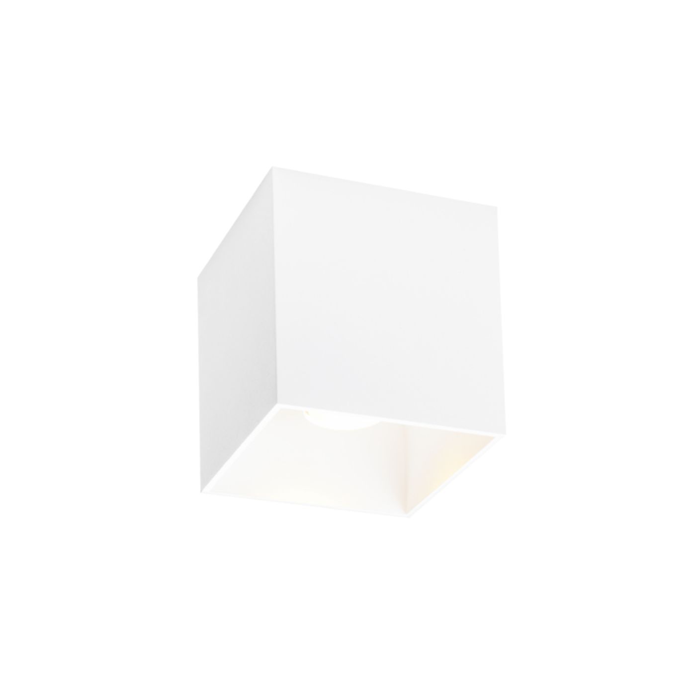 Box 1.0  PAR16 plafondspot  