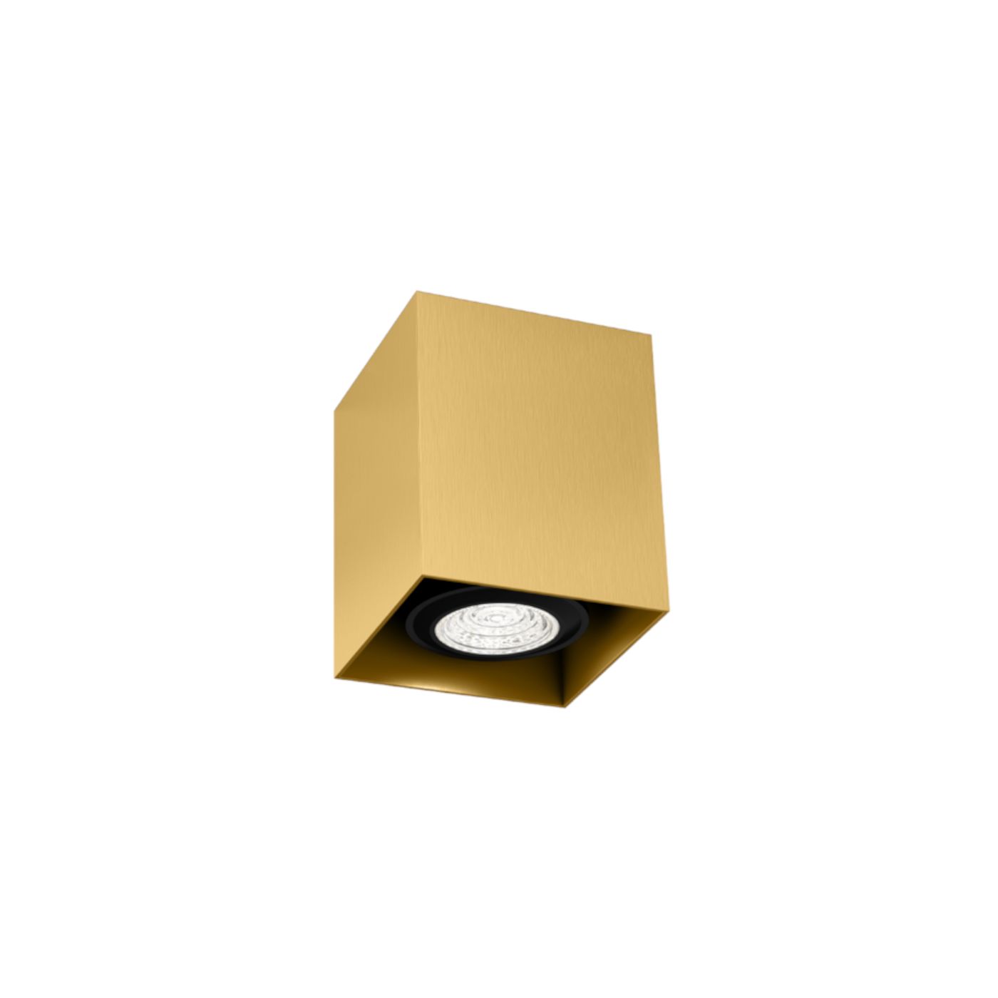 Box mini 1.0  PAR16 plafondspot 