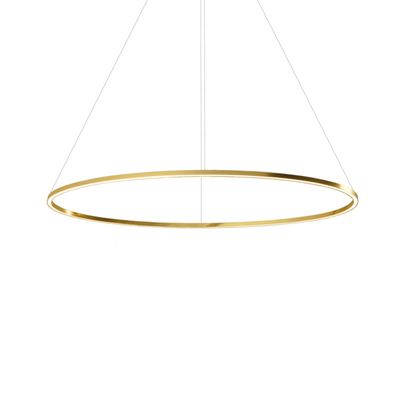 Ellisse Major Downlight hanglamp 