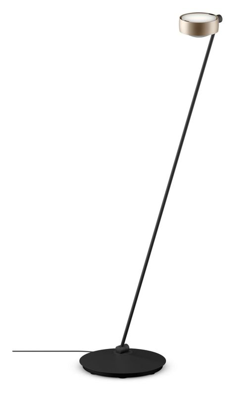 Sento lettura. Mat goud