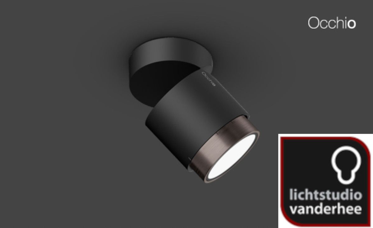 Lui volto Volt plafondlamp.  Mat zwart