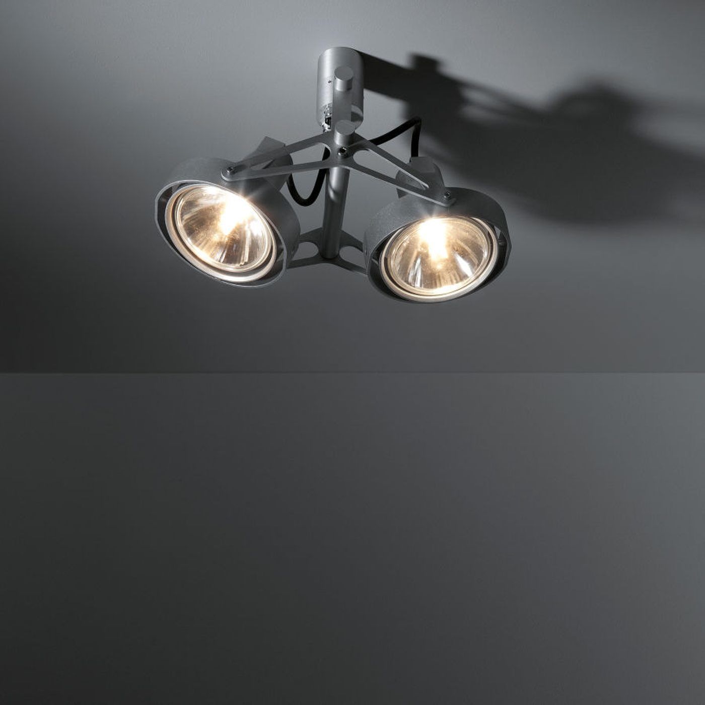 Nomad 2x PAR30 plafondlamp 