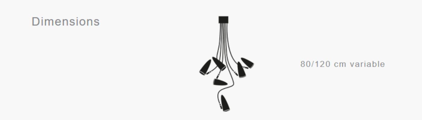 CicloItalia Flex C6 plafondlamp