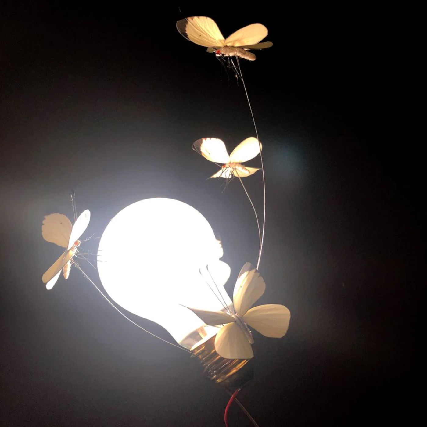 I Ricchi Five Butterflies tafellamp