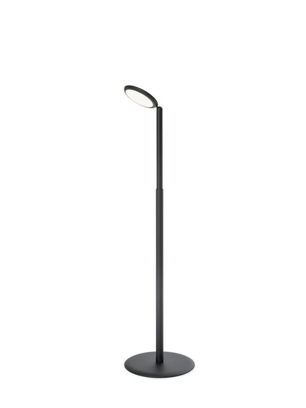 Parrot vloerlamp