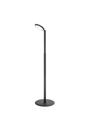 Parrot vloerlamp