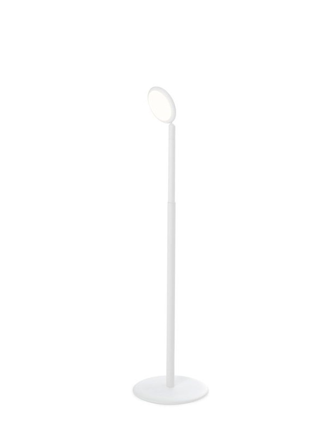 Parrot vloerlamp