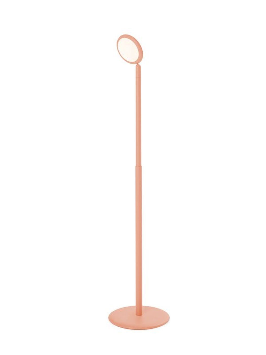 Parrot vloerlamp