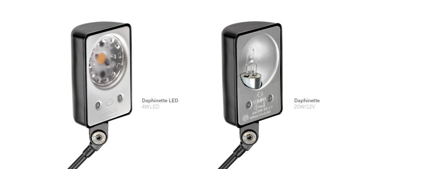 Daphine Parete 20  Led wandlamp