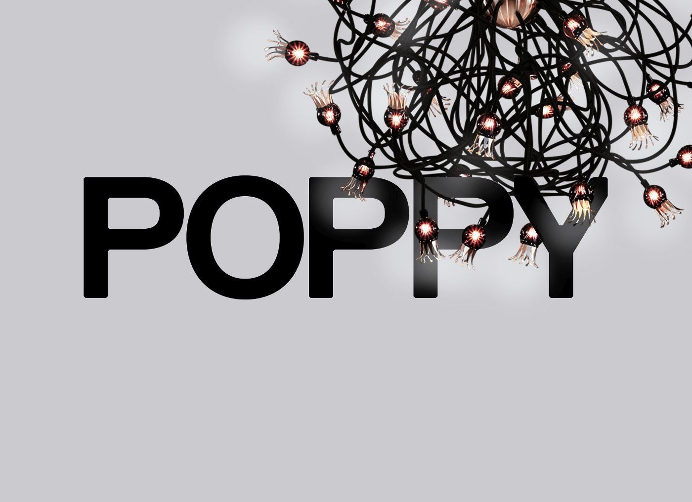 Poppy hanglamp