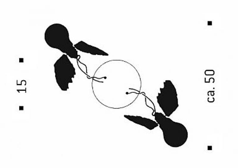 Lucellino Doppio plafondlamp