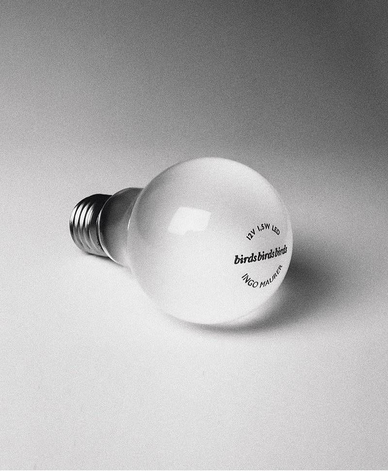 Birdie led hanglamp