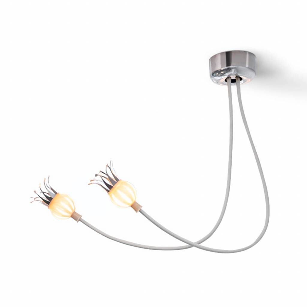 Poppy wand/plafondlamp 2