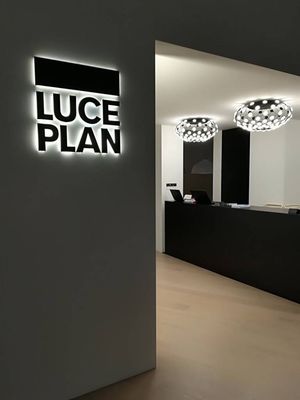Mesh D86PLN plafondlamp