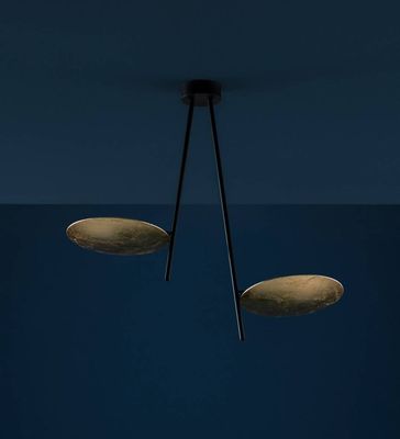 Lederam  C2 plafondlamp