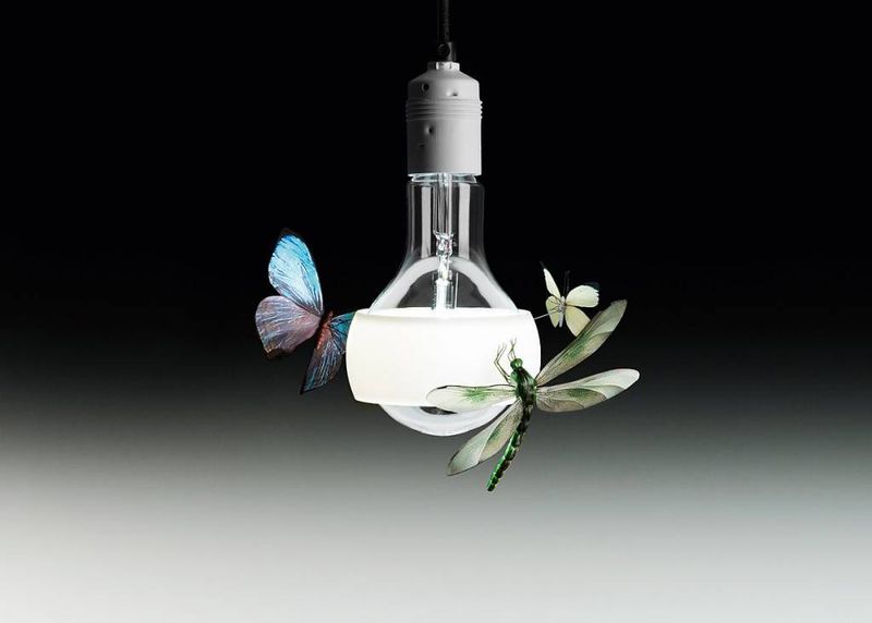 Johnny B. Butterfly hanglamp