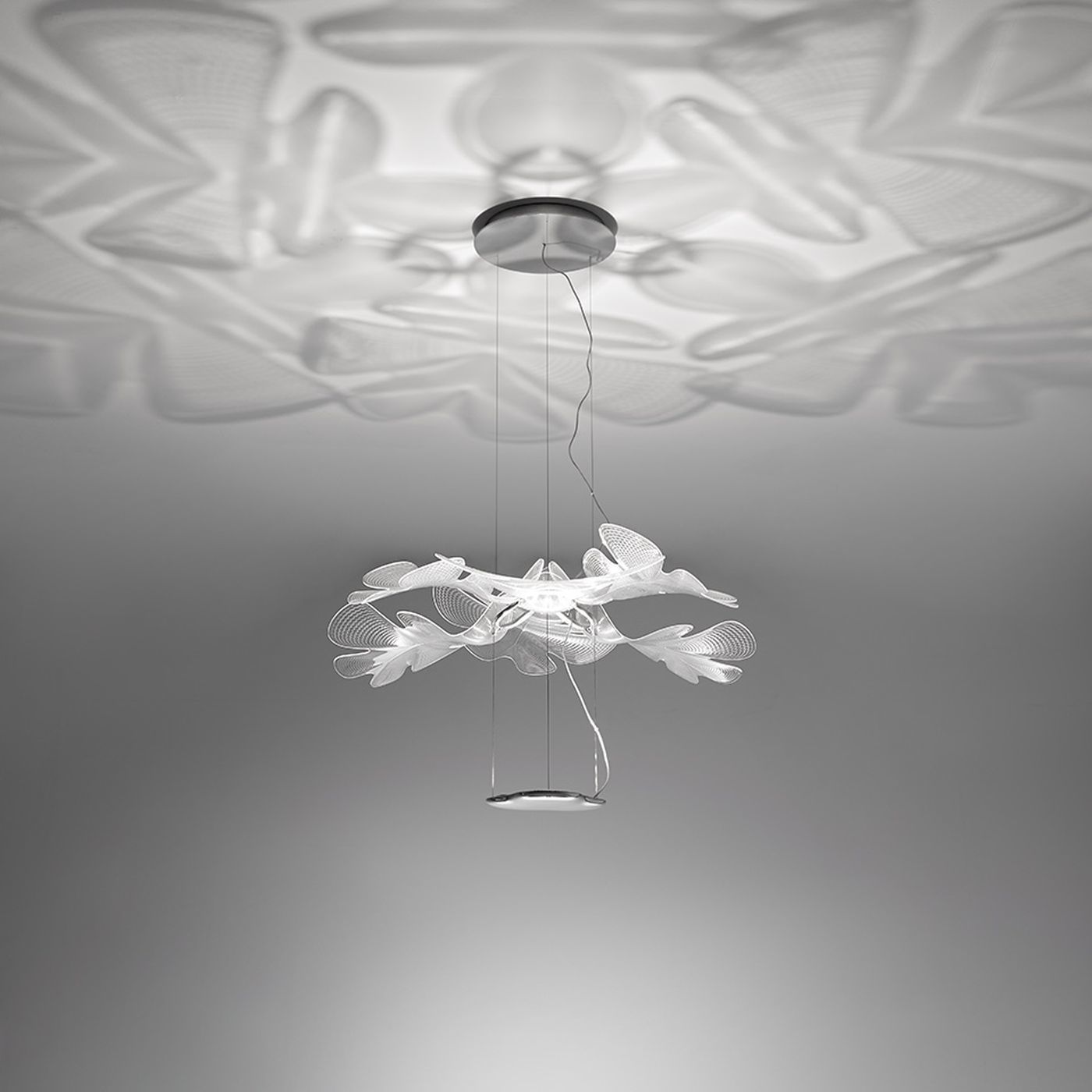 Chlorophilia hanglamp