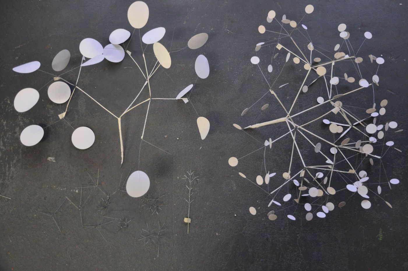 Heracleum II Small hanglamp