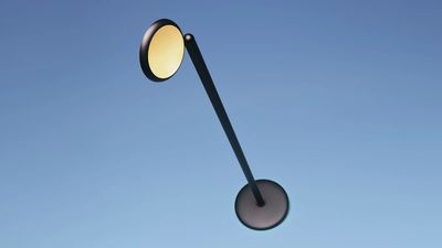 Parrot vloerlamp met snoer