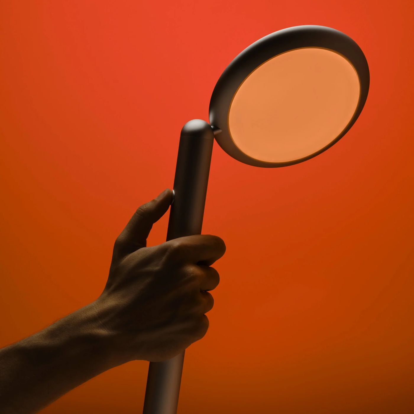 Parrot vloerlamp met snoer