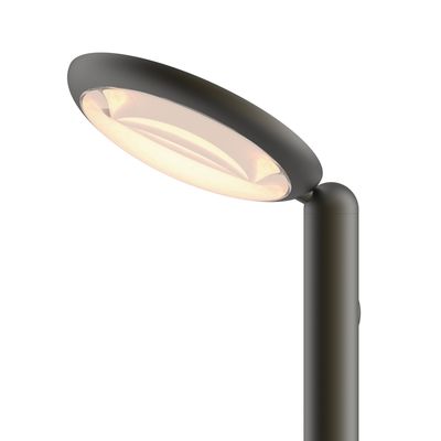 Parrot vloerlamp