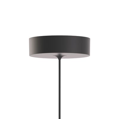 Falling Leaf hanglamp