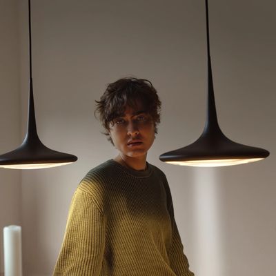 Falling Leaf hanglamp