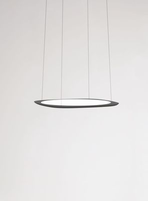 Flying hanglamp