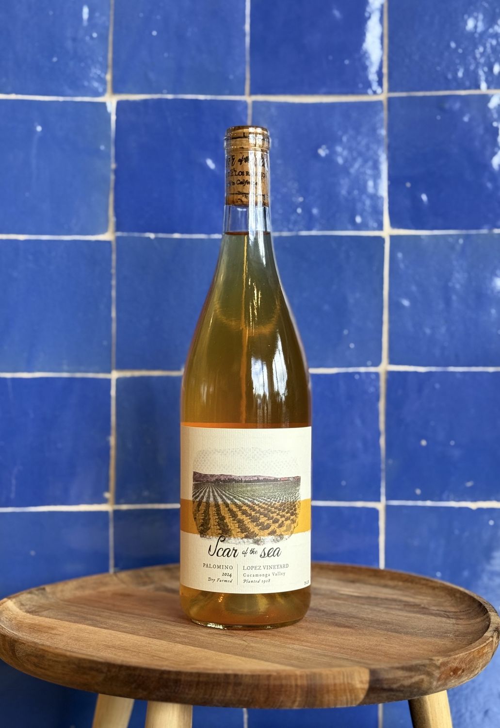 Scar of the Sea 'Old Vine Palomino'