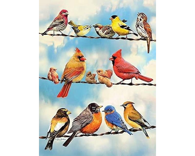 Cobble Hill Puzzles Birds On A Wire (500pcs)