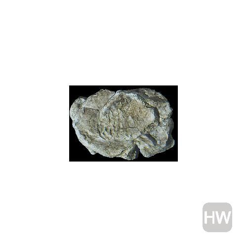 WOOC1237, Woodland Scenics - Rock Mold Wind Rock