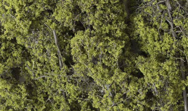 WOOF1132, Woodland Scenics - Fine Leaf Foliage Light Green