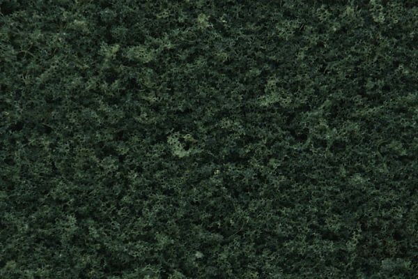 WOOF53, Woodland Scenics - Foliage Dark Green