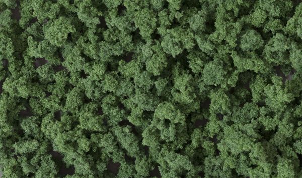 WOOFC147, Woodland Scenics - Bushes Dark Green