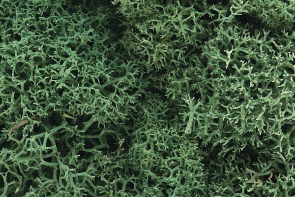 WOOL162, Woodland Scenics - Lichen Light Green