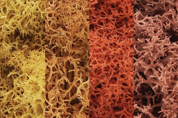 WOOL165, Woodland Scenics - Lichen Autumn Mix