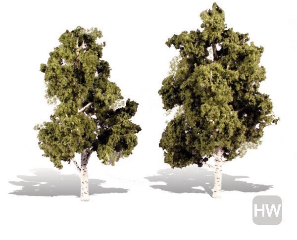 WOOTR3537, Woodland Scenics - Classic Trees Waters Edge 6-7in