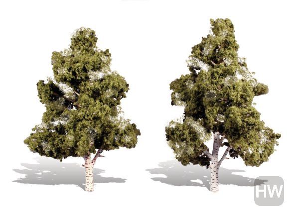WOOTR3538, Woodland Scenics - Classic Trees Waters Edge 7-8in