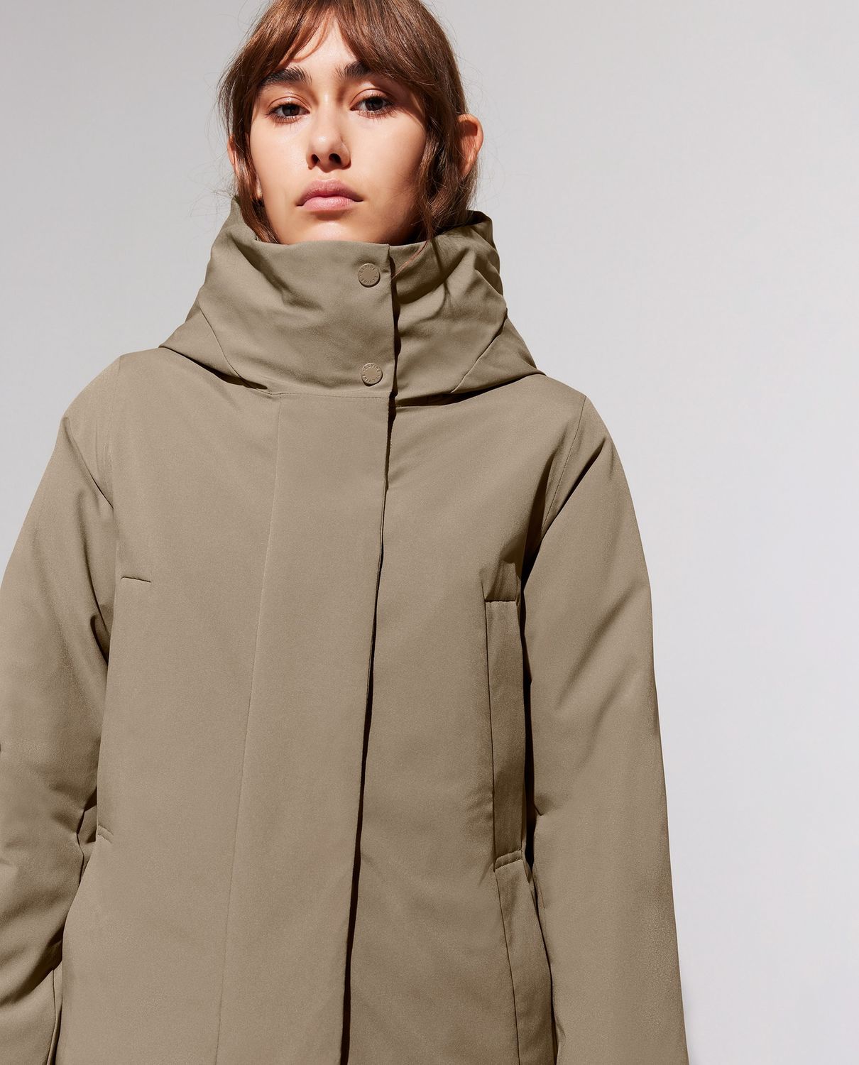 Elvine jas ardid earth