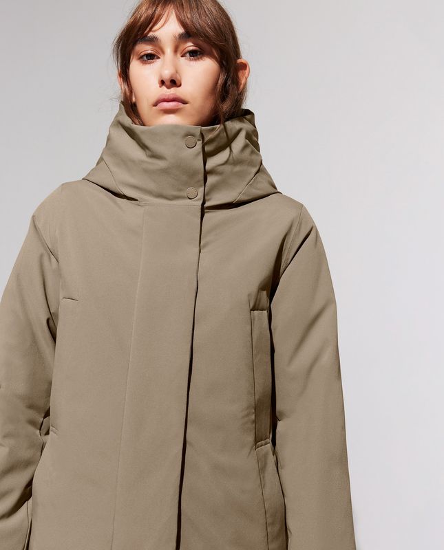 Elvine jas ardid earth