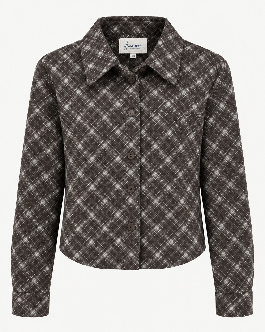 Azzurro Geruite Blouse